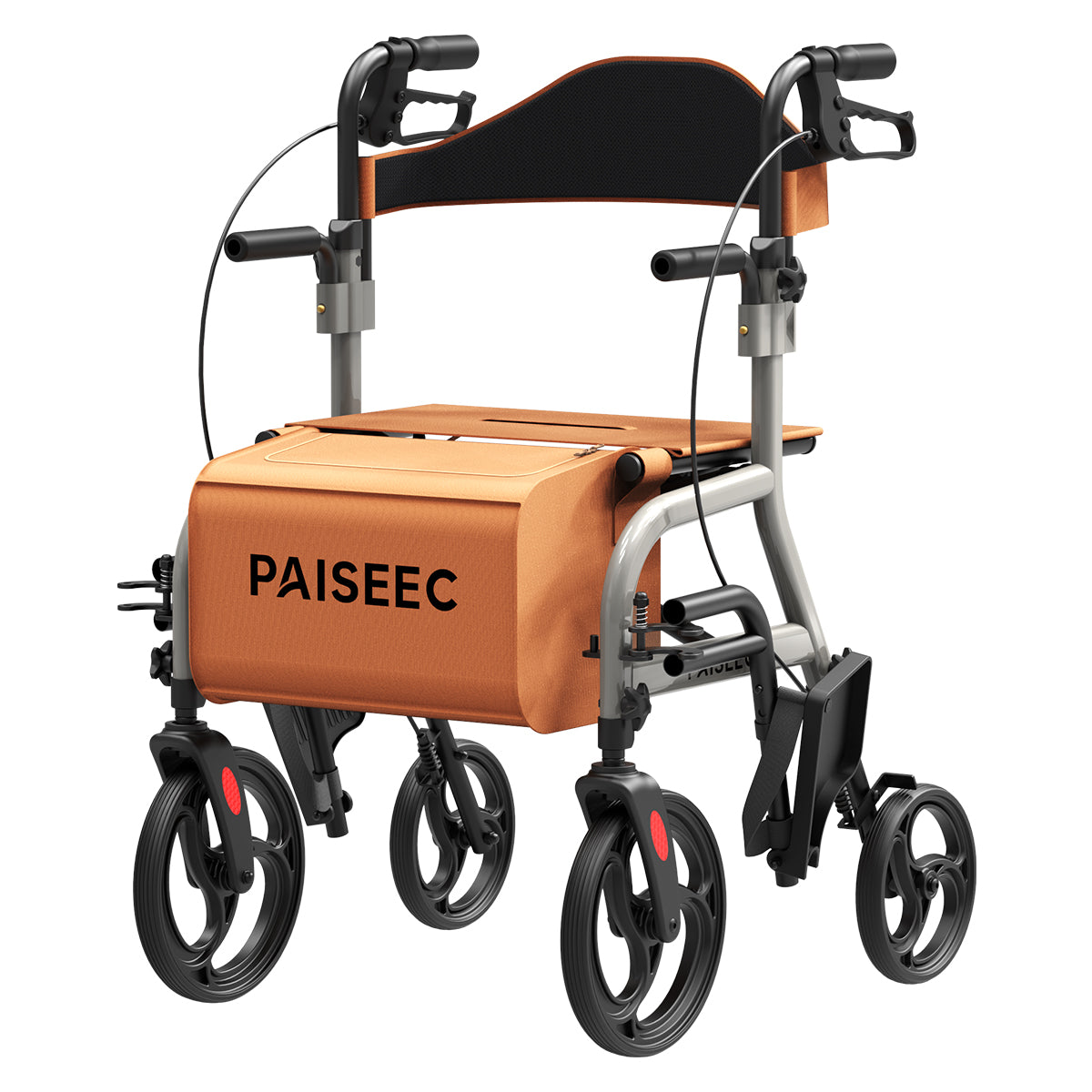 Paiseec 2 in 1 Rollator Walker R1