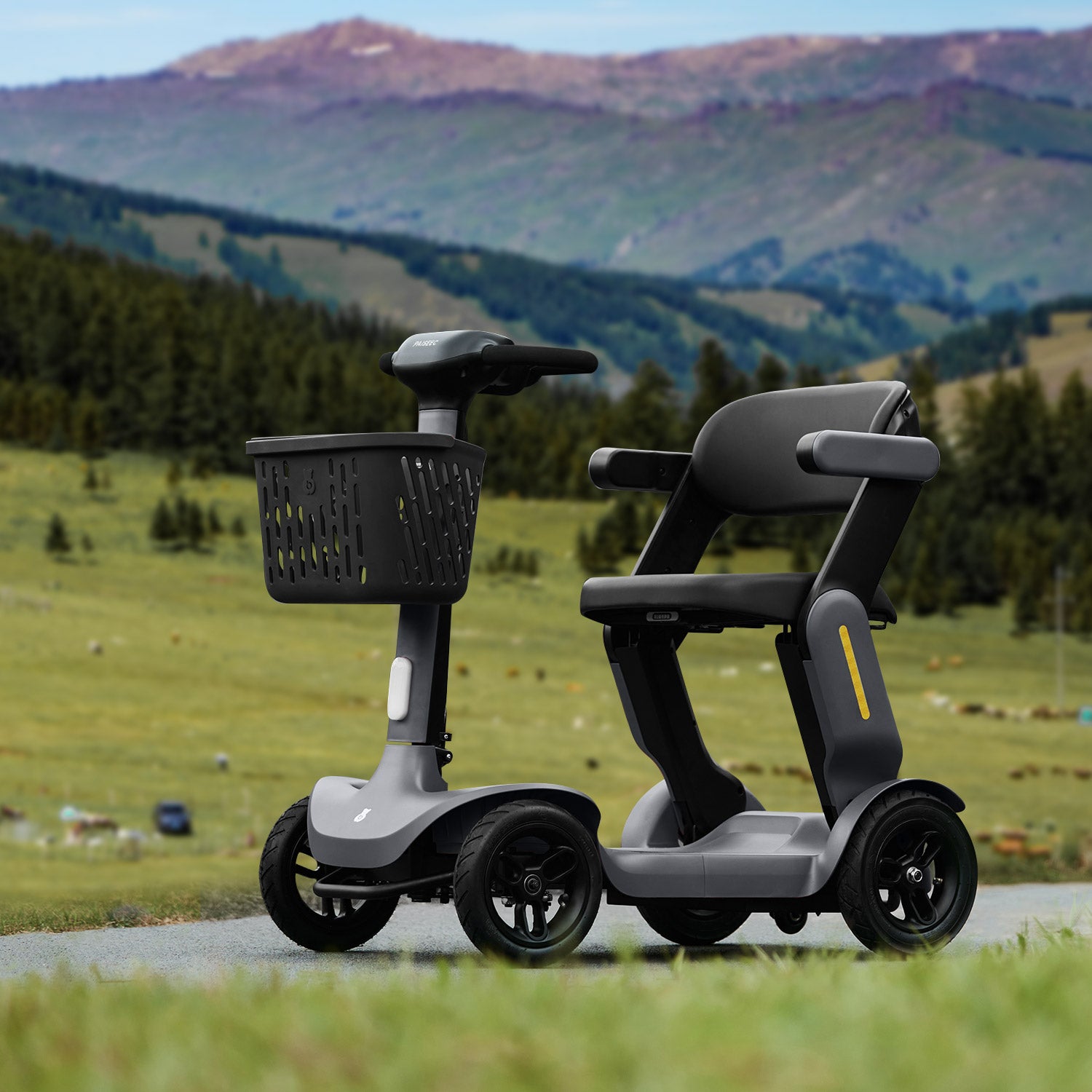 Paiseec Mobility Scooters S3 for Adults. 4 Wheel Foldable Electric Scooter-2024 New.