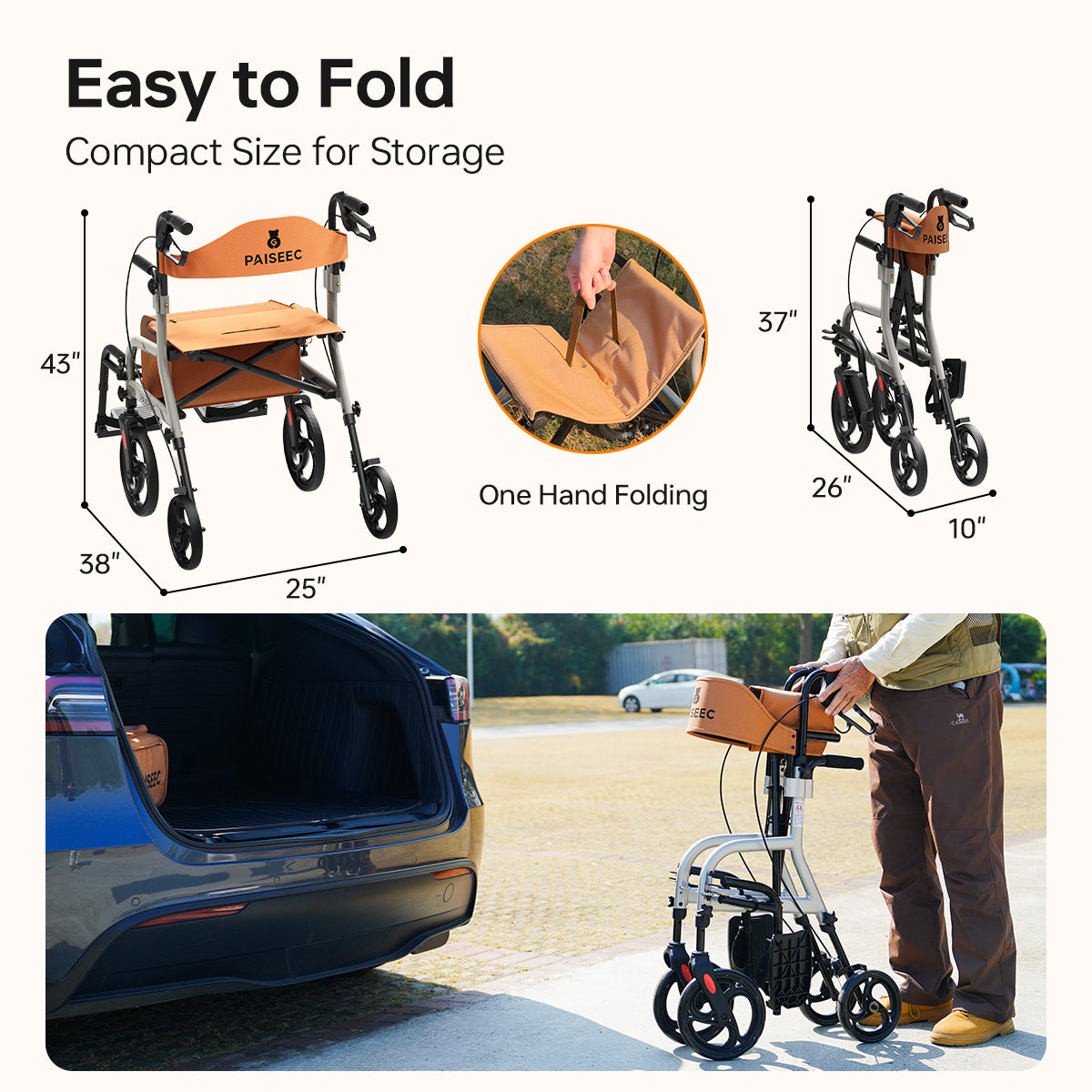 Paiseec 2 in 1 Rollator Walker R1