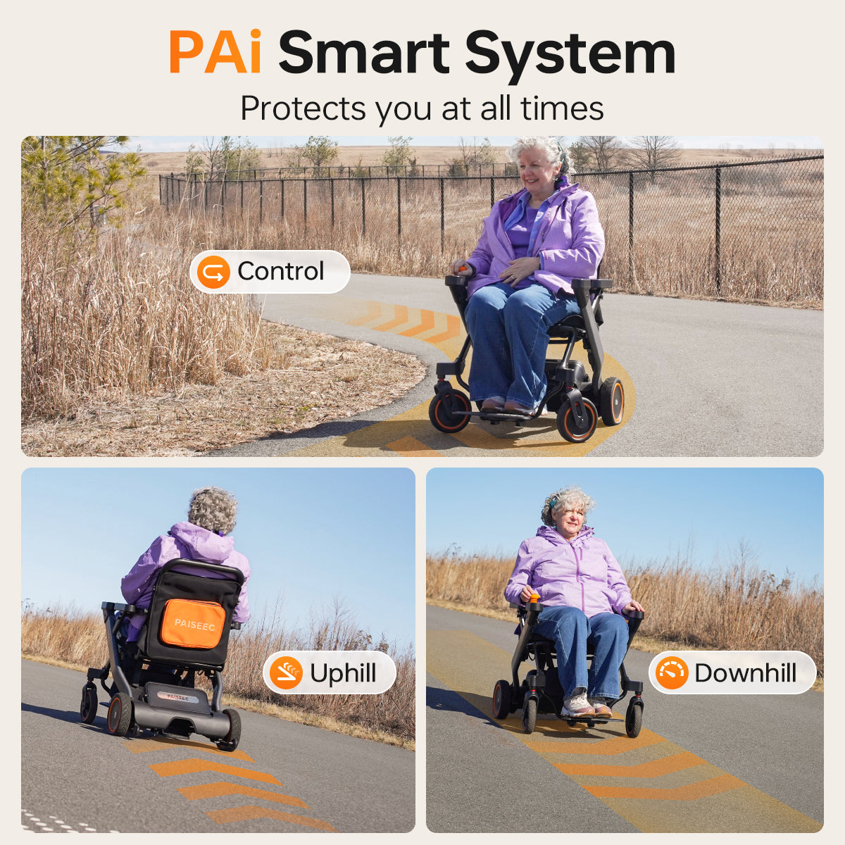 Paiseec 2-in-1 Electric Wheelchair W1